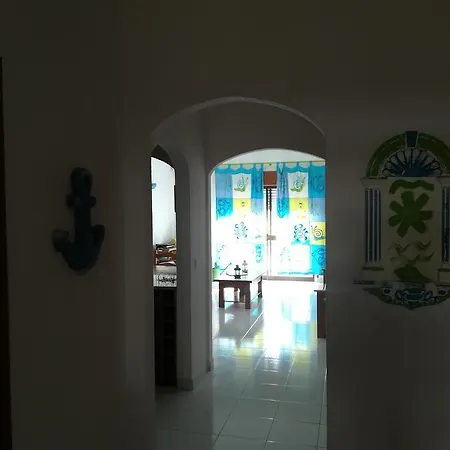 - Elimar 1 T1 شقة